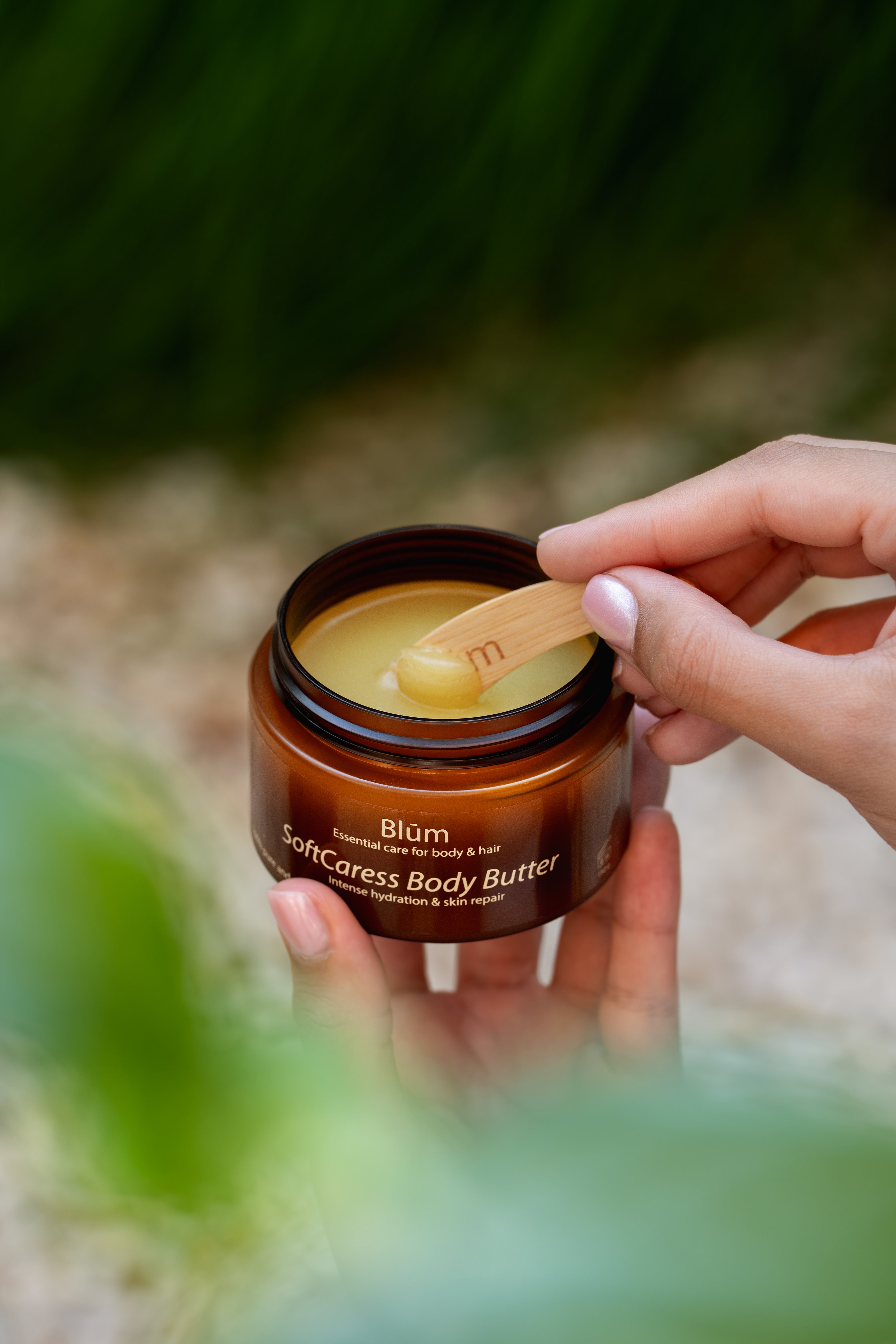 SoftCaress Body Butter